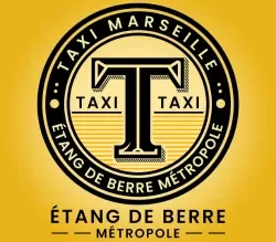 chauffeur taxi etang de berre logo